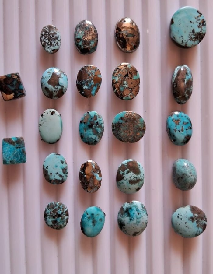 Erani Firoza(इराणी फिरोझा)